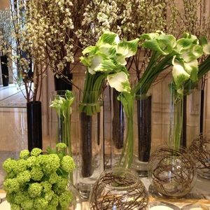 Meet your Posher, Audrey